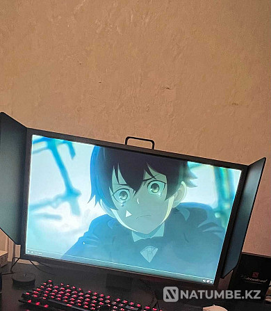 Monitor 24.5