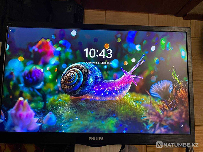 Monitor 21.5