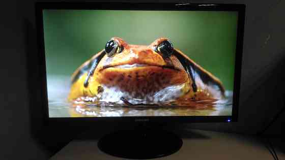 Samsung_Full HD 24" дюйма (61см) (HDMI; VGA)  Алматы
