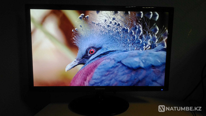 Samsung_Full HD 24" inches (61cm) (HDMI; VGA) Almaty - photo 6
