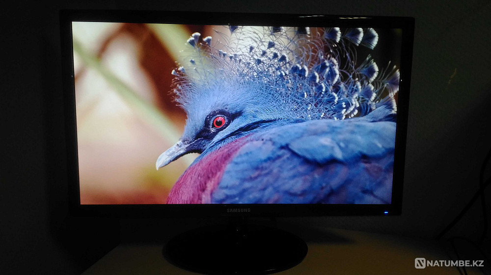 Samsung_Full HD 24" дюйм (61 см) (HDMI; VGA)  Алматы - изображение 6