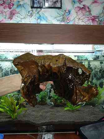 Аквариумға арналған ағаш сатылады.  Алматы