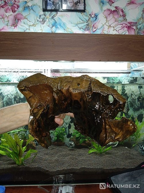 Аквариумға арналған ағаш сатылады.  Алматы - изображение 6