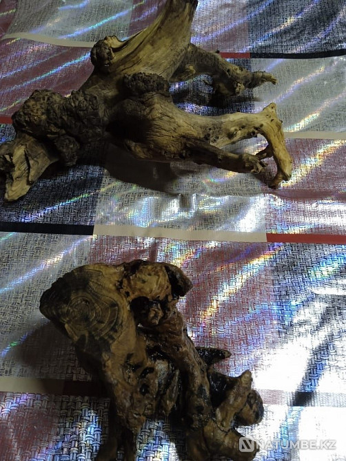 Аквариумға арналған ағаш сатылады.  Алматы - изображение 4