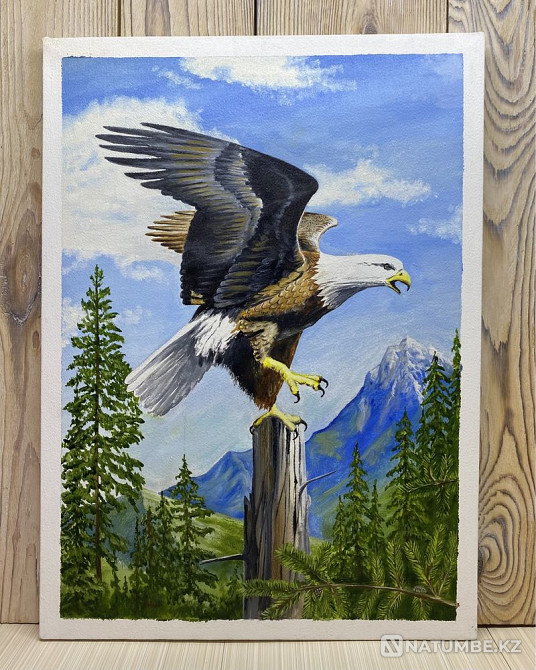 Картинка «Орлан»  - изображение 1