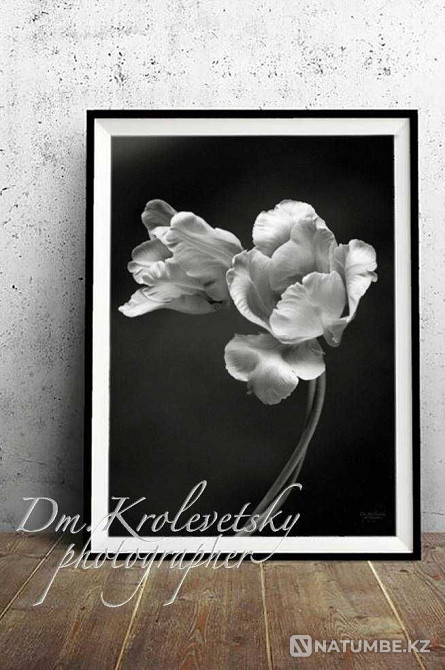 Картина; коллекция.  - изображение 4