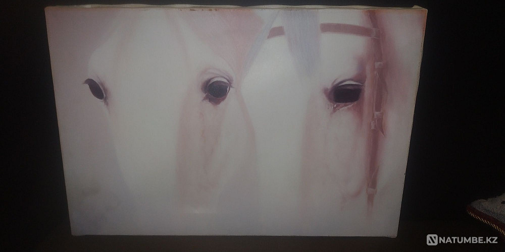 Картина; масло 60*40  - изображение 1