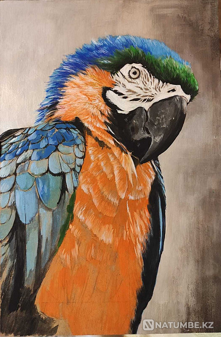 Картины и рисунки  - изображение 4