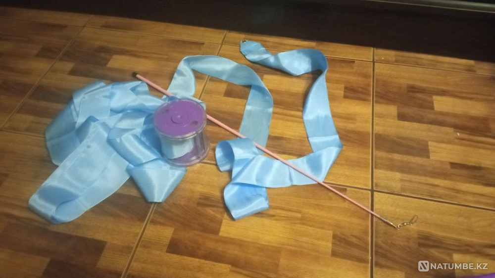 Набор для художественной гимнастики  - изображение 1