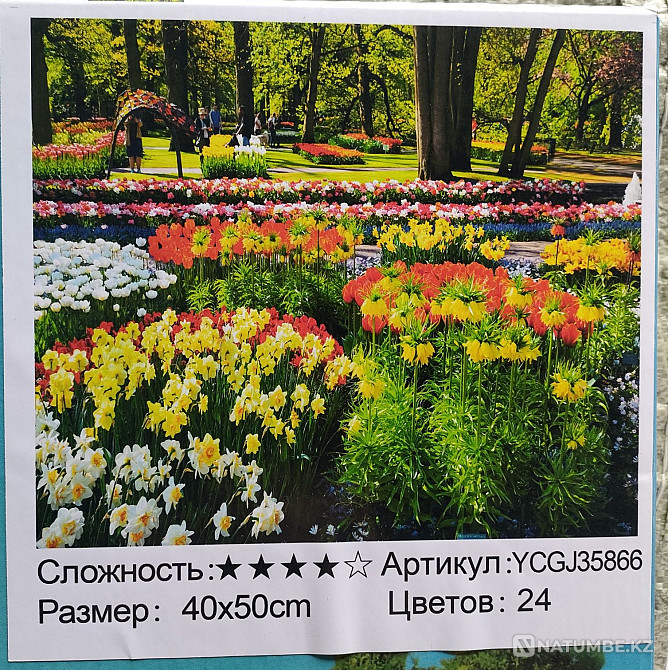 Paintings by numbers 40*50  - photo 6