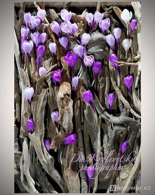 Картина; коллекция FLOWERS; подарок.  - изображение 8