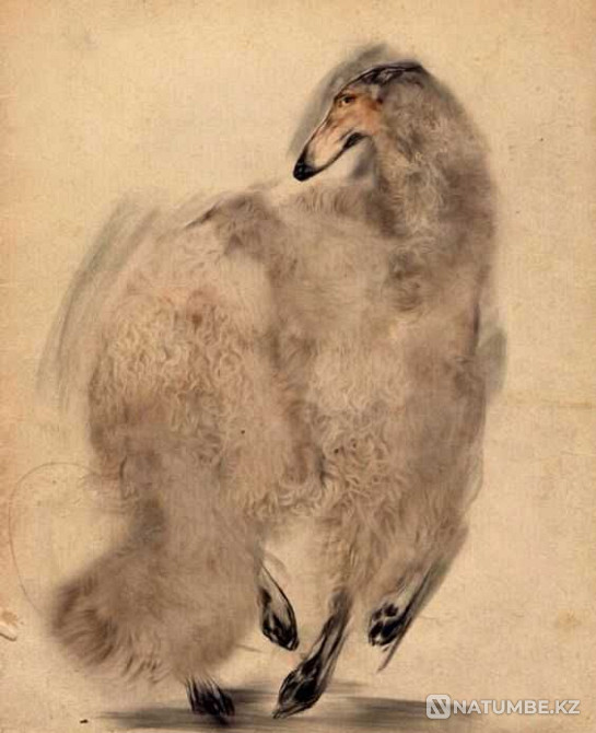 Продаю картину "русская борзая": холст; масло  - изображение 3