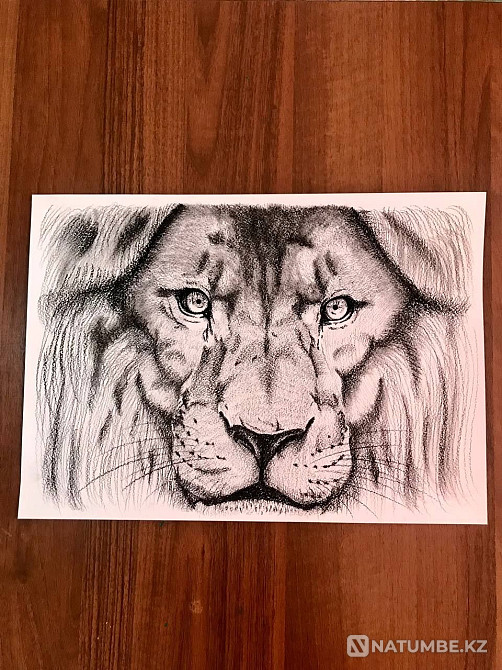 Продам рисунки животных  - изображение 5