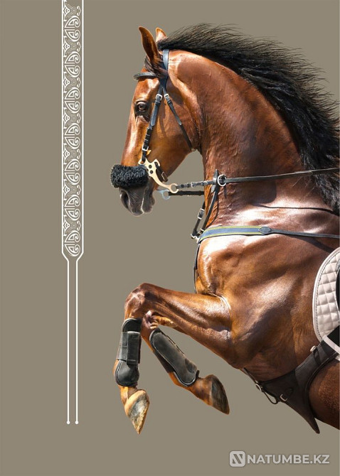 картина для дома и офиса  - изображение 3