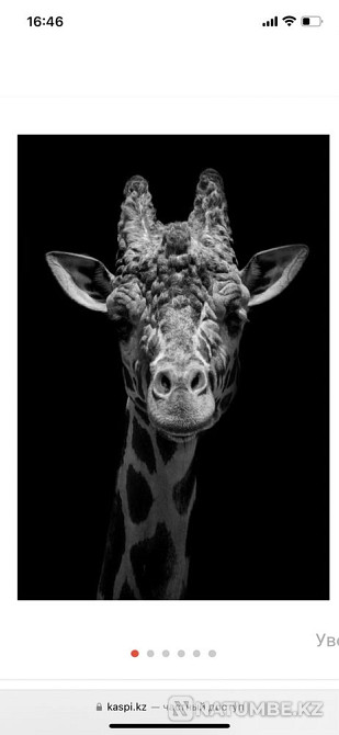 Selling a painting under glass  - photo 1