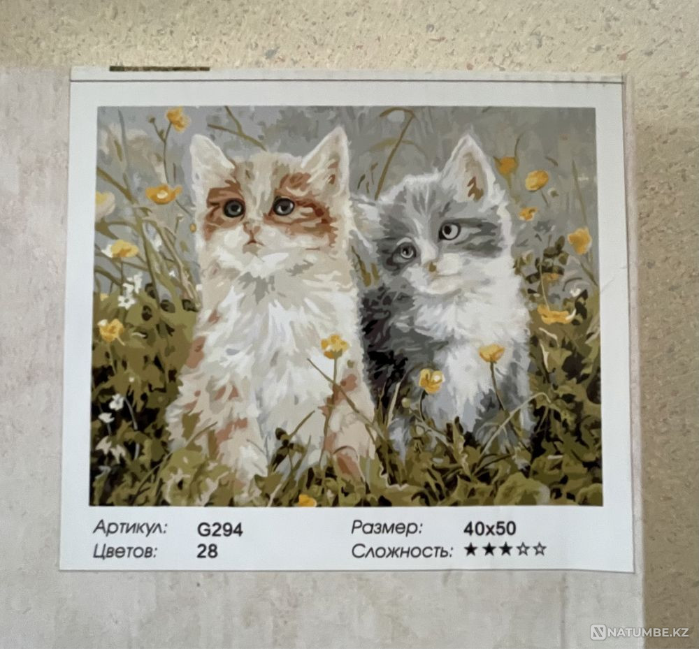 Painting by numbers  - photo 2