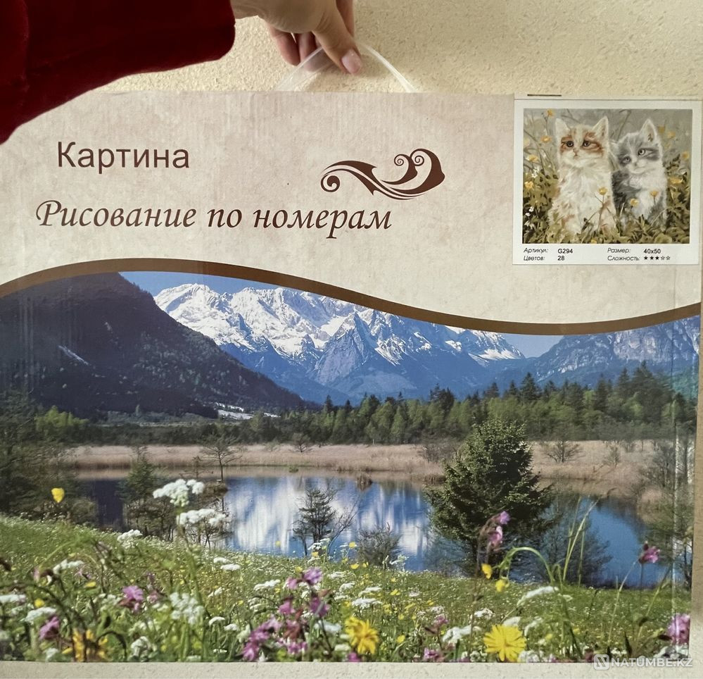 Painting by numbers  - photo 1