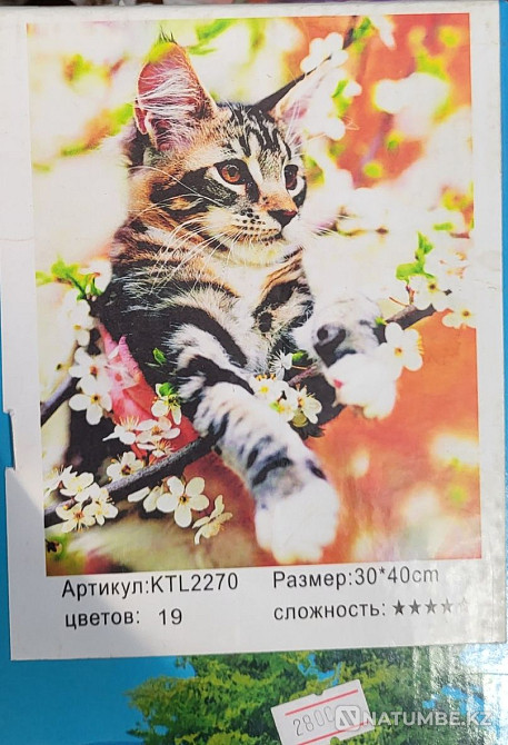 Paintings by numbers. Drawing by numbers 2800tg  - photo 4