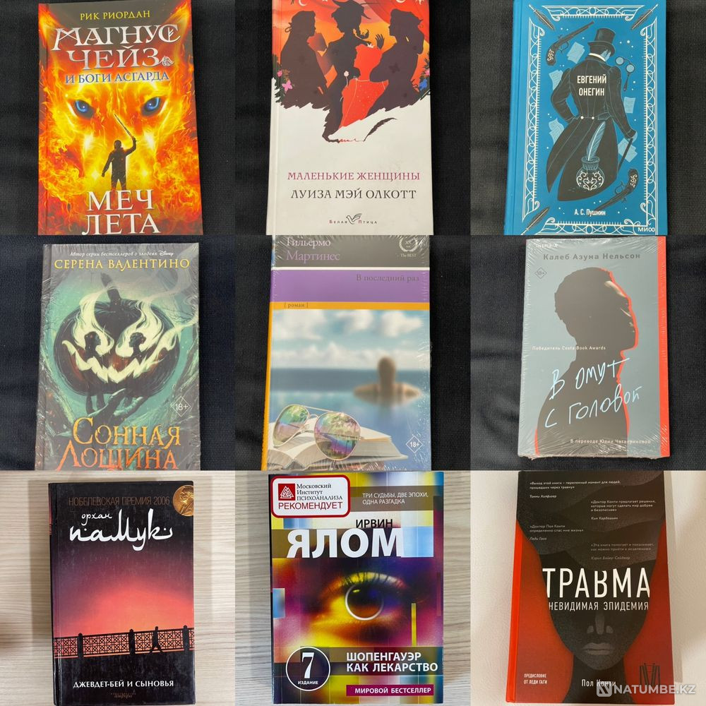 Books; psychology; artist; biographies Almaty - photo 7