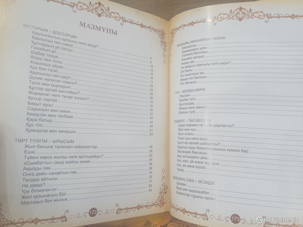 Fairy tales in Kazakh Almaty - photo 3