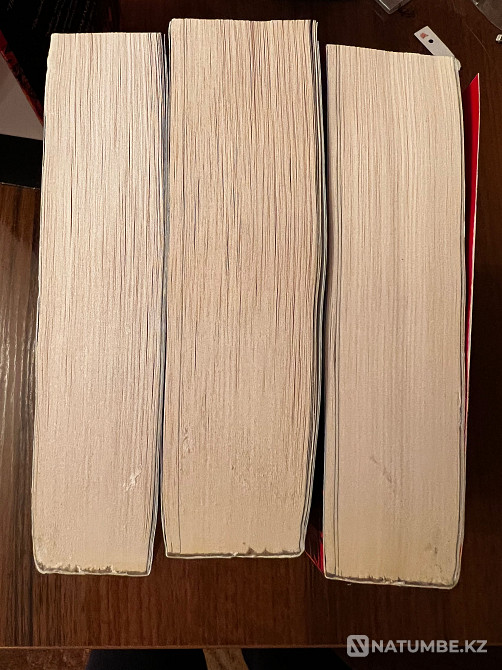 Grishaverse Shadow and Bone by Leigh Bardugo in English (Shadow and Bone) Almaty - photo 7