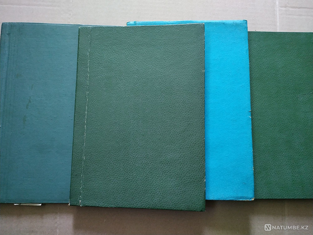 Форель балығын өсірумен айналысады  Алматы - изображение 2