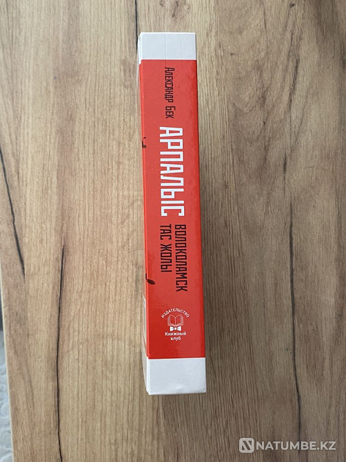 Arpalys (Volokolamsk tas Zholy) Almaty - photo 3