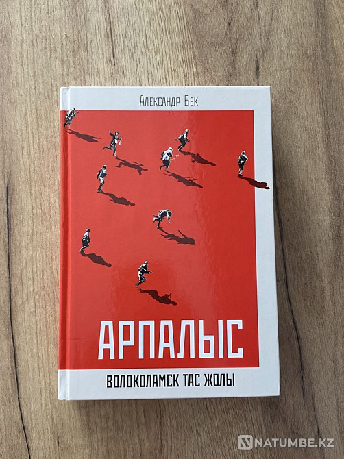 Arpalys (Volokolamsk tas Zholy) Almaty - photo 1