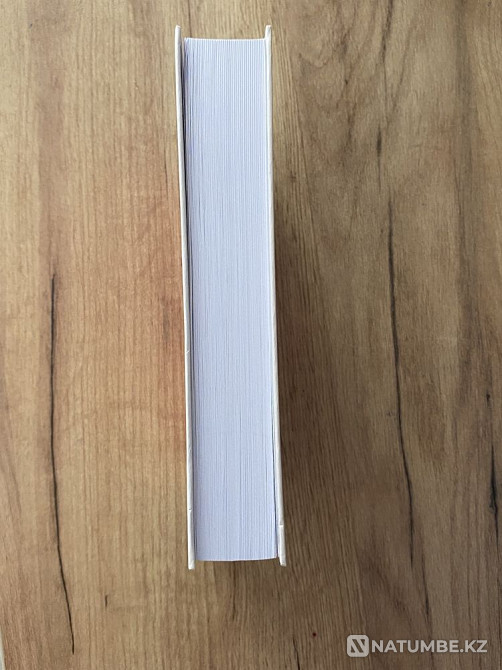 Arpalys (Volokolamsk tas Zholy) Almaty - photo 4