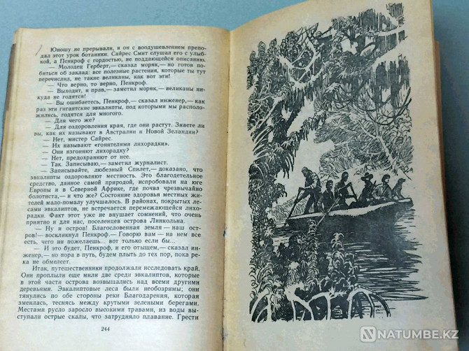 Книга: Жюль Верн. Таинственный остров Алматы - изображение 4