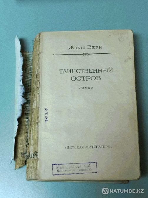 Книга: Жюль Верн. Таинственный остров Алматы - изображение 1