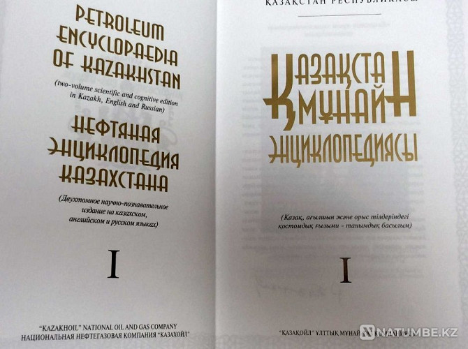 Нефтяная энциклопедия Казахстана / Petroleum Encyclopaedia of KZ Алматы - изображение 2