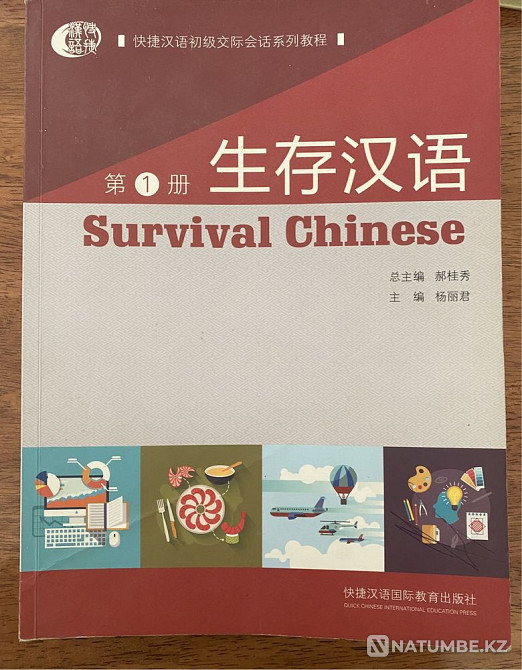 Қытай тіліндегі кітаптарды зерттеу  Алматы - изображение 2