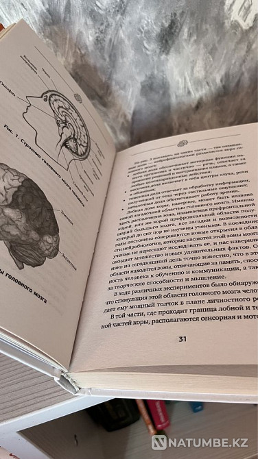 Жаңа кітаптар «Гоблин» және «Ми жаттықтырушысы»  Алматы - изображение 4