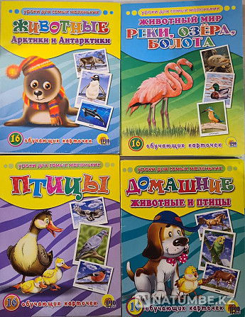 Educational cards Almaty - photo 6