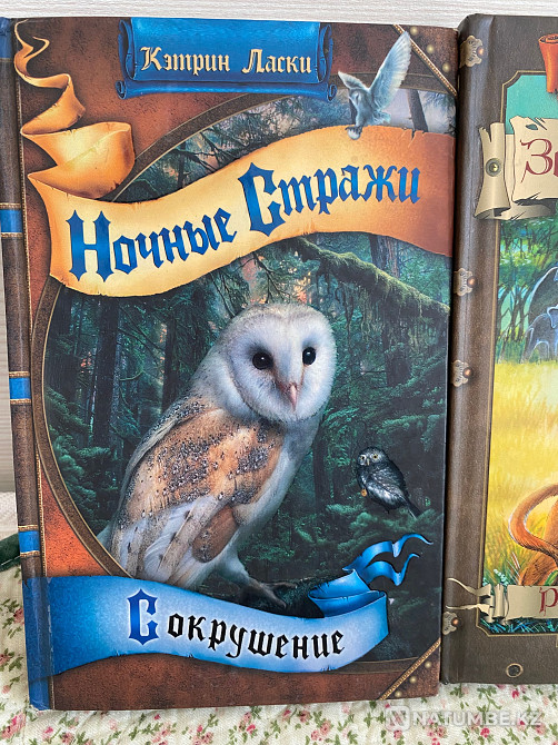 Books by Erin Hunter Land of the Brave Almaty - photo 4