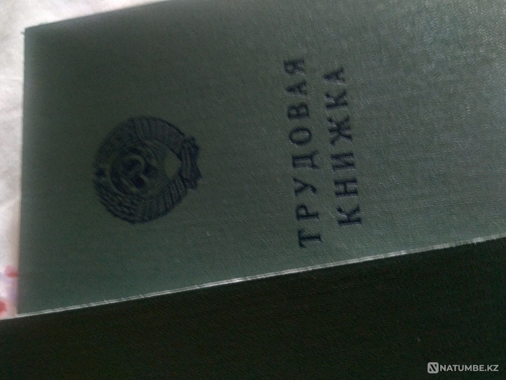 Су таңбалары бар түпнұсқа жұмыс кітаптары, мата мұқабалары  Алматы - изображение 2