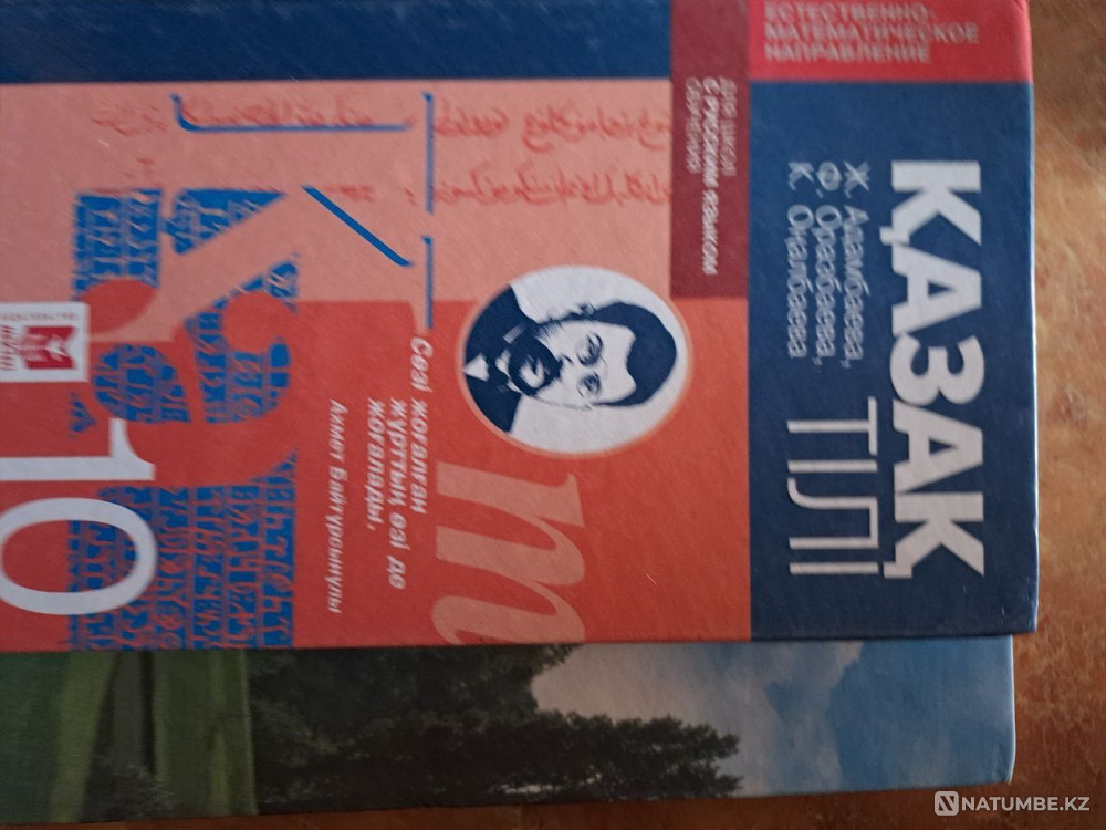 Books for 10th grade Almaty - photo 7