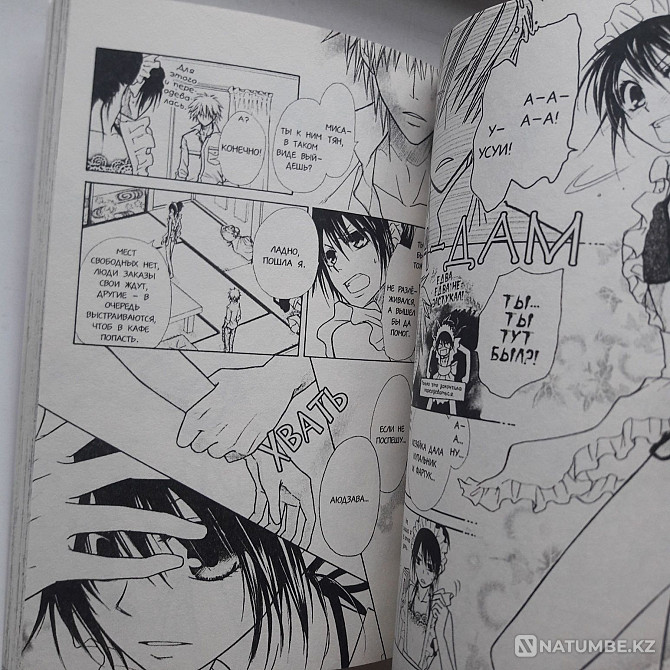 The best volume of the manga 