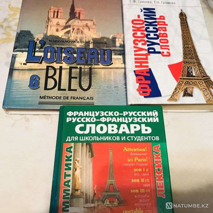 Books; Dictionaries; French Almaty - photo 2