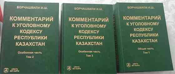 Книга « Комментарий к уголовному кодексу республики Казахстан»  Алматы
