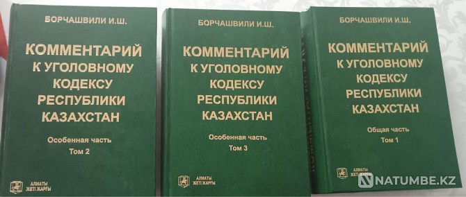 Book “Commentary to the Criminal Code of the Republic of Kazakhstan” Almaty - photo 1