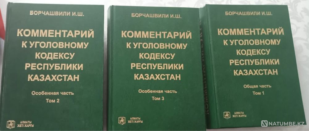 Book “Commentary to the Criminal Code of the Republic of Kazakhstan” Almaty - photo 1
