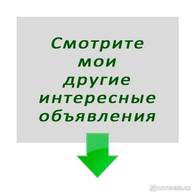 Book - Kremlin School of Negotiations (Kaspi RED) Almaty - photo 5