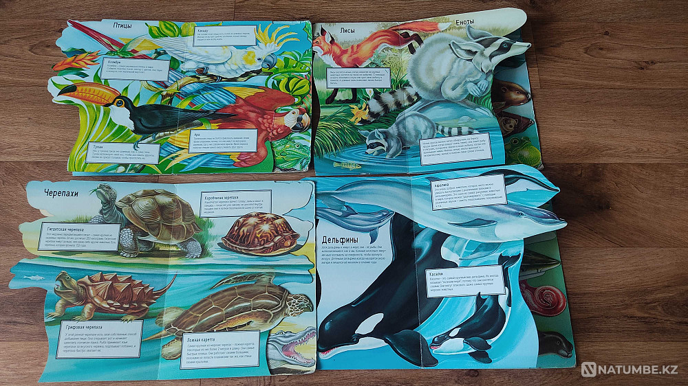 Encyclopedias from the series 