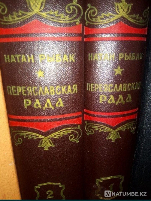 Nathan Rybak 2 volumes Almaty - photo 1