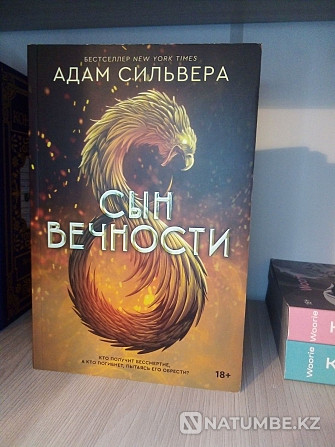 Сын вечности; Сильвер Алматы - изображение 1