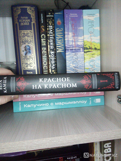 Red on red; Vera Kamsha Almaty - photo 2