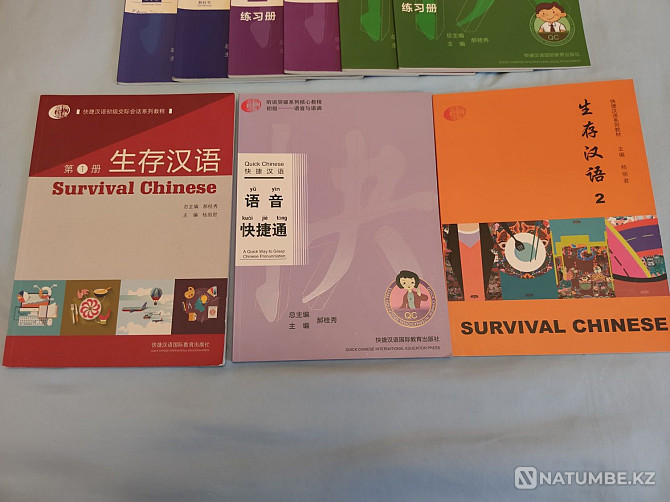 Educational books Chinese Almaty - photo 2