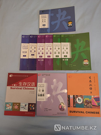 Educational books Chinese Almaty - photo 1
